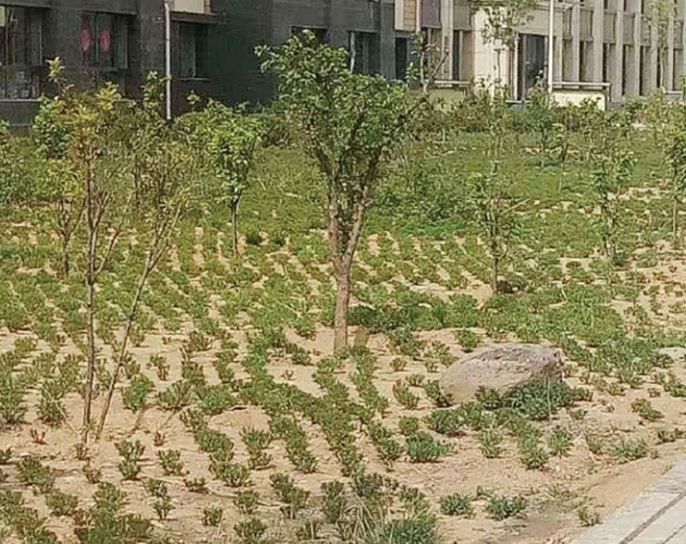 包頭棚戶(hù)區改造,住宅及社區內道路、園林綠化、亮化工程